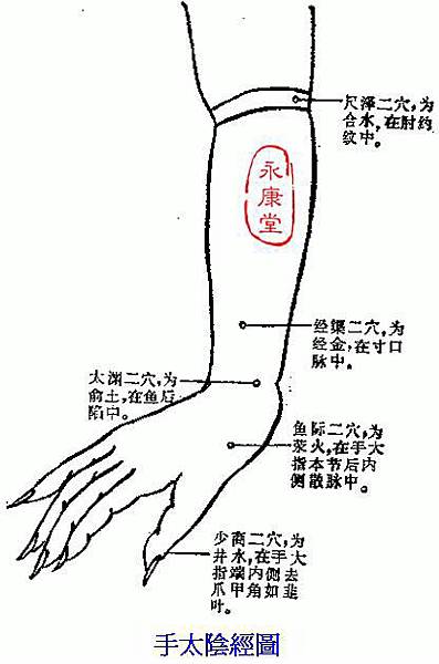 03-手太陰經圖