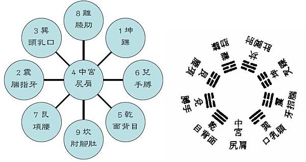 22《針灸大成》【尻神禁忌】：