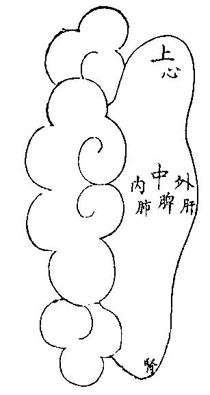 耳背圖【《厘正按摩要術》(清‧張振鑒)】.JPG