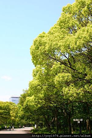 大阪城公園