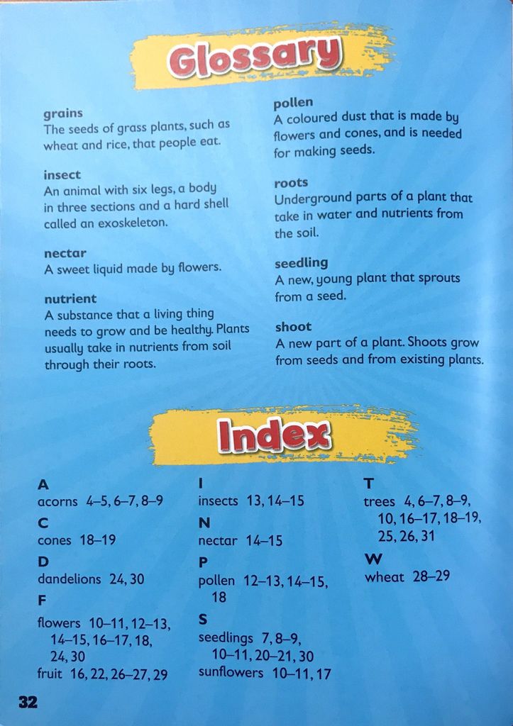 FUNdamental 09.jpg FUNdamental 09.jpg