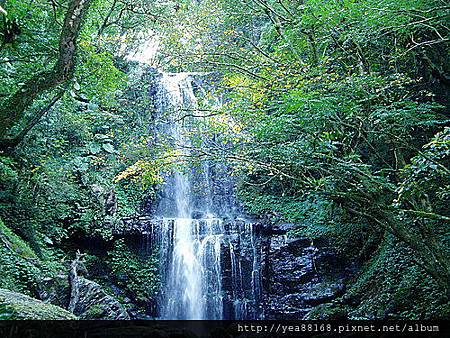 三峽雲森瀑布 11.jpg