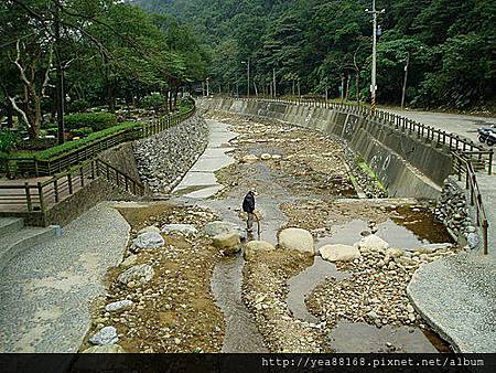 新莊水源地 20.jpg