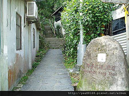 貴子坑親山步道 21.jpg