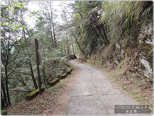 桃山步道13