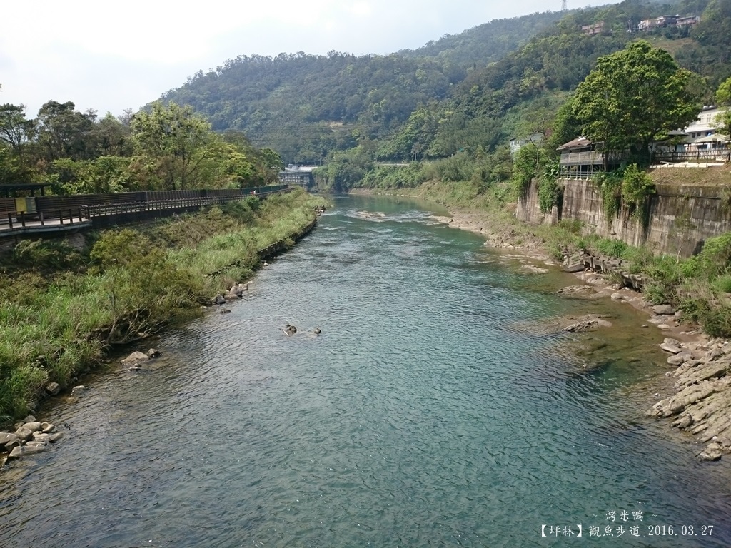 觀魚步道02.JPG