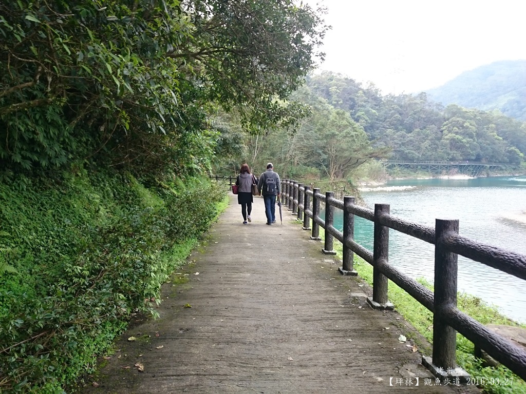 觀魚步道11.JPG