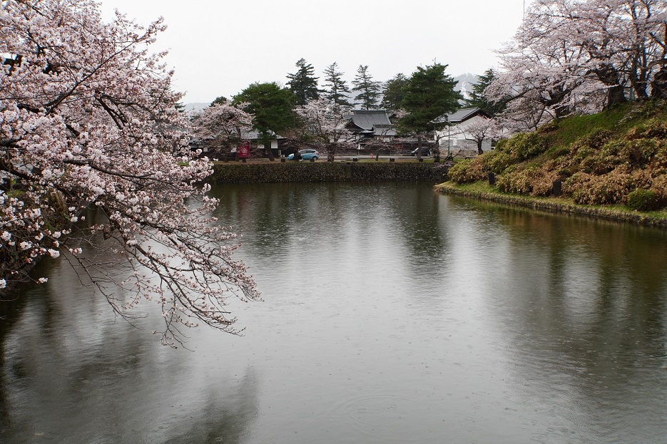 【旅行】2023日本東北8日遊Day6：米澤城、花見山公園