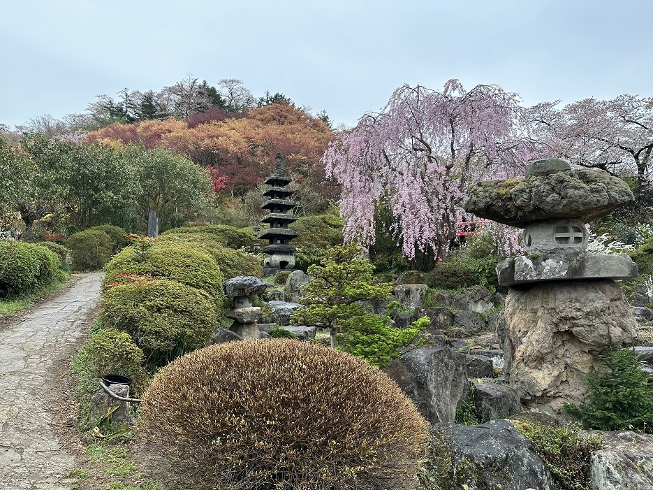 【旅行】2023日本東北8日遊Day6：米澤城、花見山公園