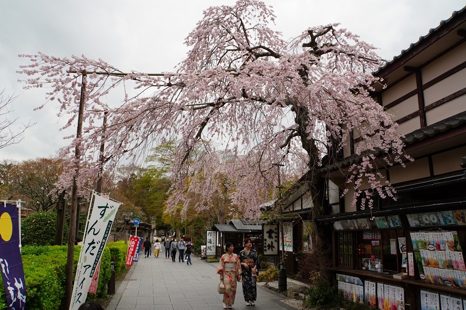 【旅行】2023日本東北8日遊Day7、Day8：松島、仙台