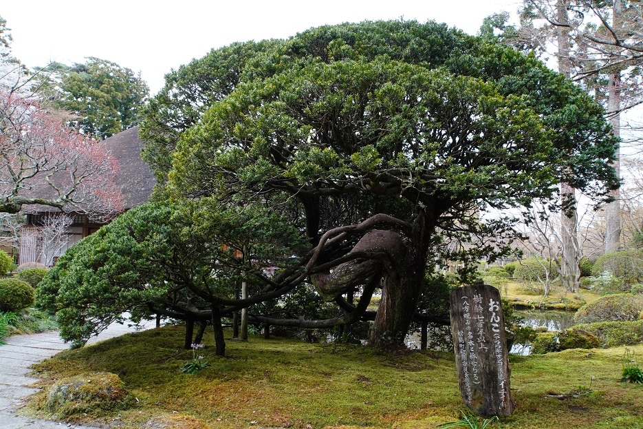 【旅行】2023日本東北8日遊Day7、Day8：松島、仙台