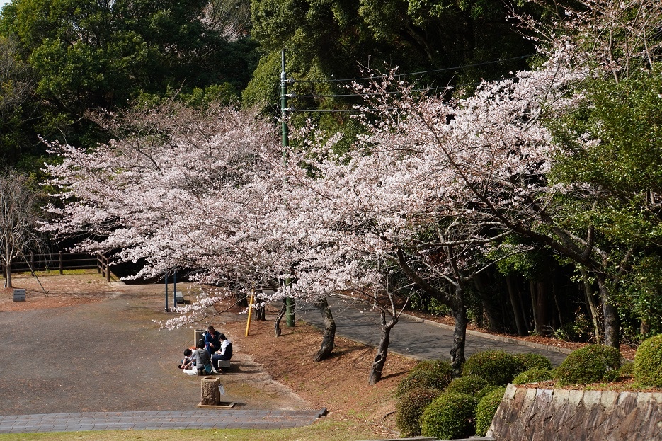 【旅行】2024日本廣島、山口6日遊Day2：岩國城