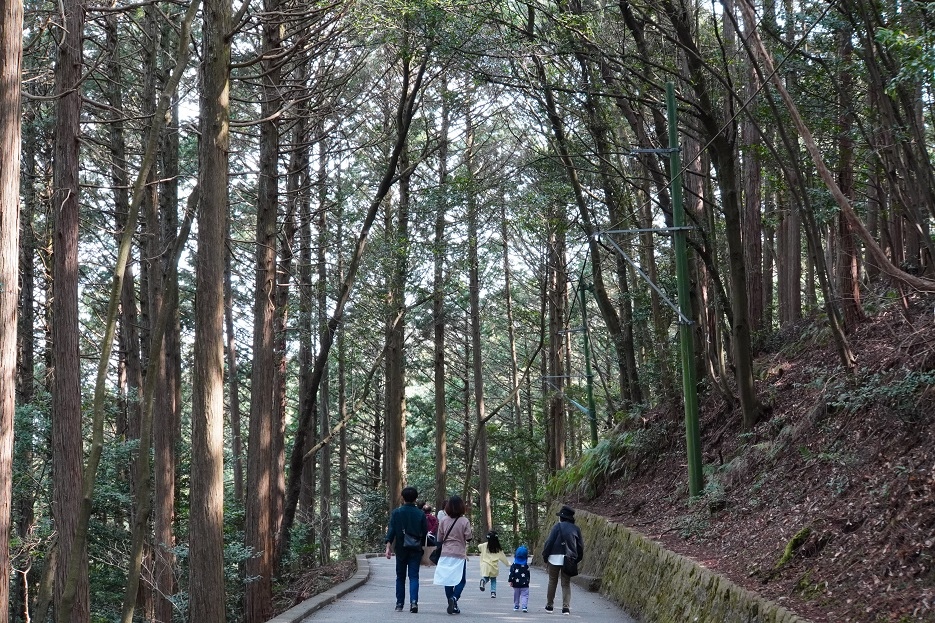 【旅行】2024日本廣島、山口6日遊Day2：岩國城