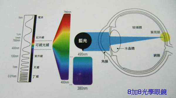 濾藍光鏡片 濾藍光鏡片