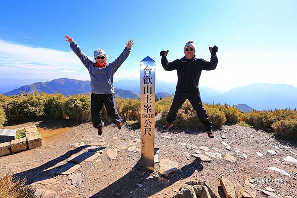 合歡山主峰賞高山杜鵑