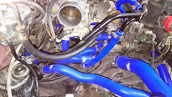 DSC_8060.JPG DSC_8060.JPG