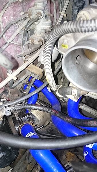 DSC_8061.JPG DSC_8061.JPG