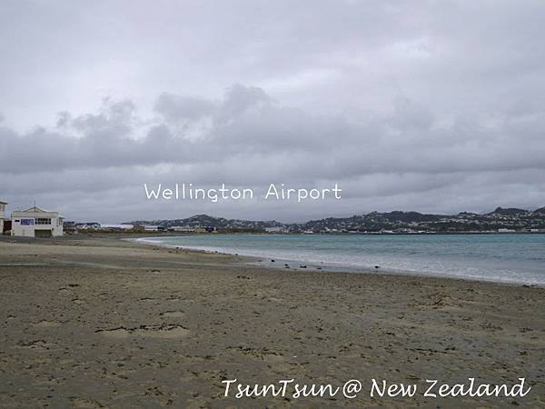 Wellington06