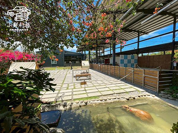 墾丁鹿境水豚的家