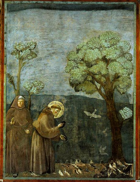 giotto-Sermon to the Birds