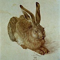 野兔﹝A Young Hare﹞