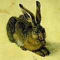 durer - A Young Hare 1502