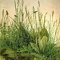 Durer - The Large Turf 1503