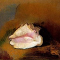 redon_La coquille (The Seashell) 1912