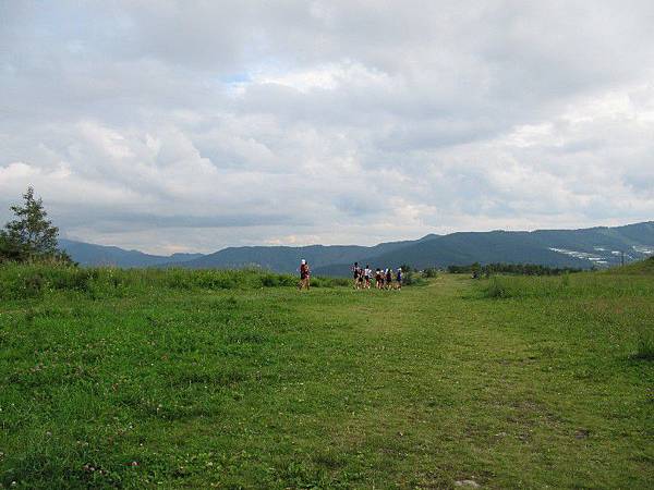 野性の証明 劇照