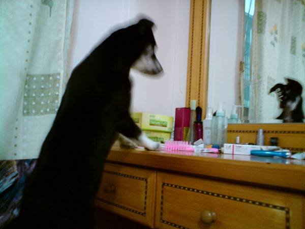 剛洗完澡的小毛姆，第一次照鏡子