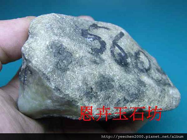 560g莫灣基翡翠緬甸玉全賭石&開窗-016.JPG