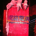 DSC03330.JPG