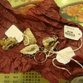 20091203_DSC03511.JPG