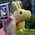 DSC09507.JPG