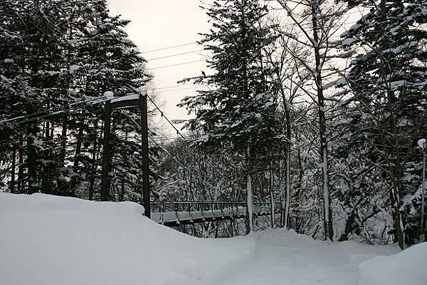 034雪中的吊橋.JPG