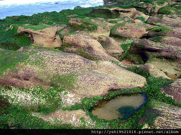 老梅綠石槽 (36).JPG