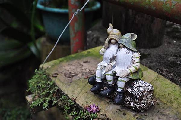 20130920 128 (Small).jpg