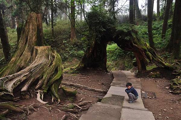 20131012 365 (Small).jpg