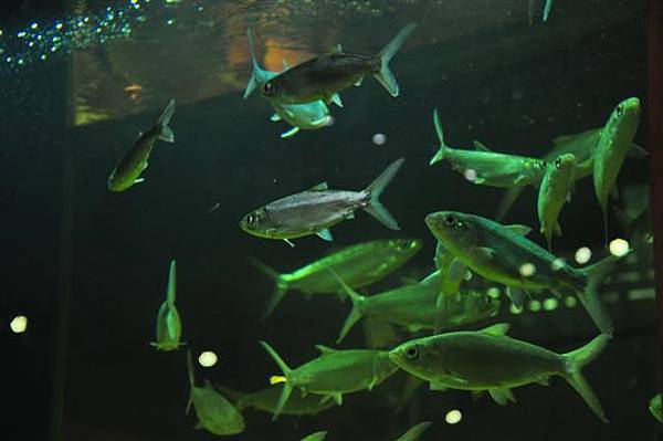 20131013 124 (Small).jpg