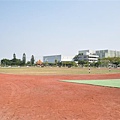 20131019 288 (Small).jpg