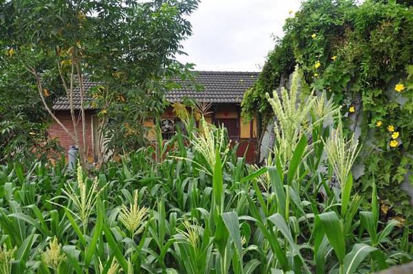 20131103 053 (Small).jpg