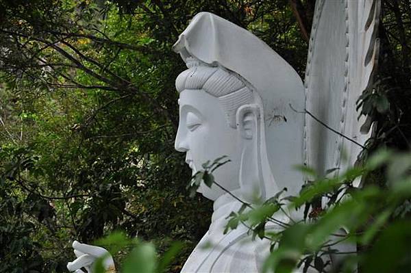 20131109-10 126 (Small).jpg