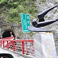 20131109-10 207 (Small).jpg