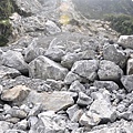 20131109-10 236 (Small).jpg