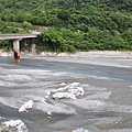 20131109-10 250 (Small).jpg