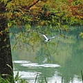 20131109-10 649 (Small).jpg