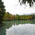 20131109-10 646 (Small).jpg