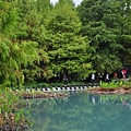20131109-10 678 (Small).jpg