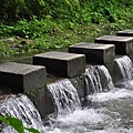 20131109-10 687 (Small).jpg