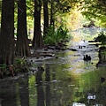 20131109-10 704 (Small).jpg